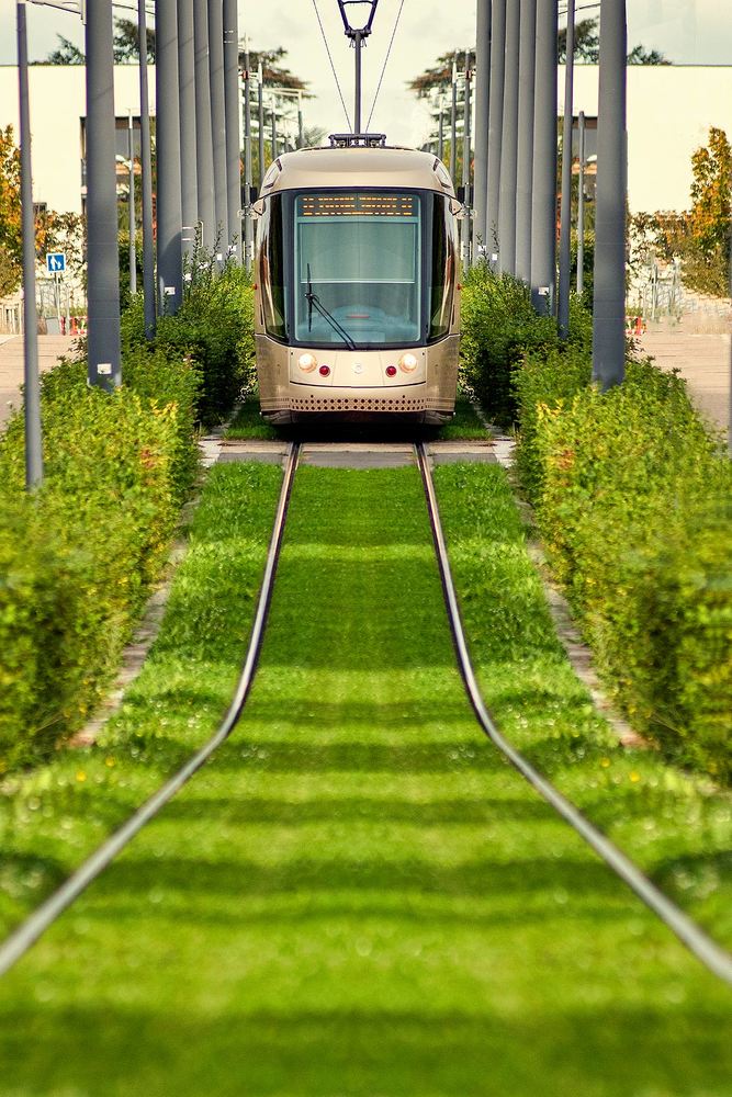 Photograph by Victor Ninestrong