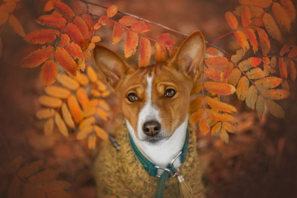 Photograph by Варвара