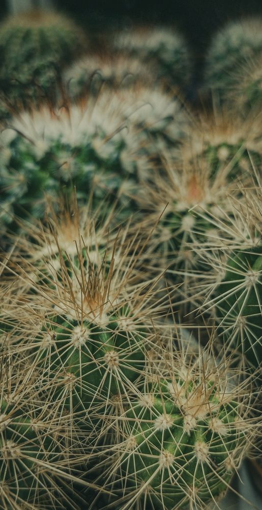 Photograph by Елена (Мори) Кузнецова