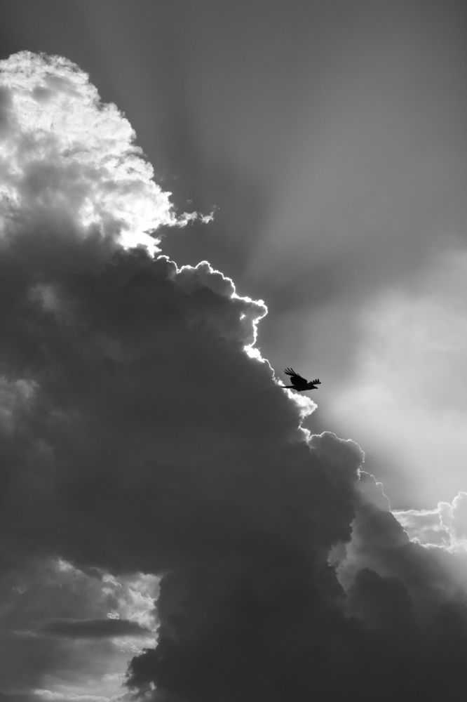 Фотография автора sachin gaurav