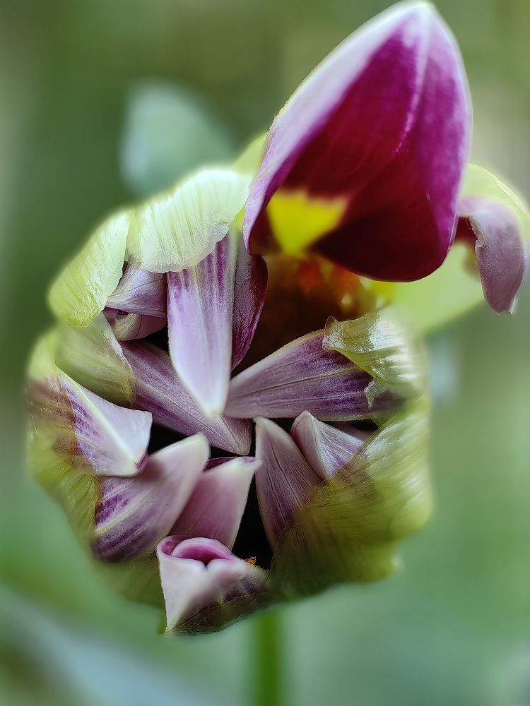 Фотография автора Ольга Панасюк