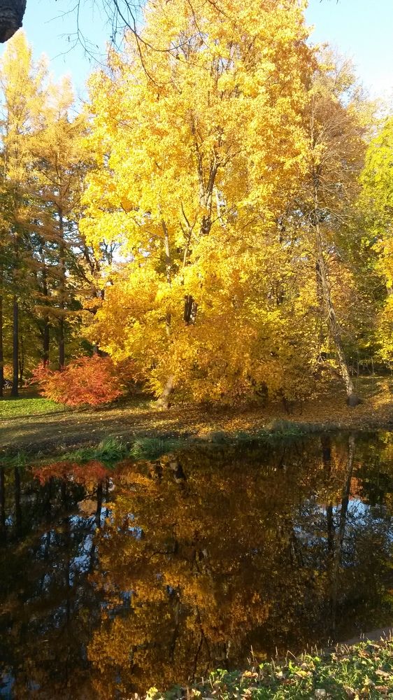 Фотография автора Natalia Khodina