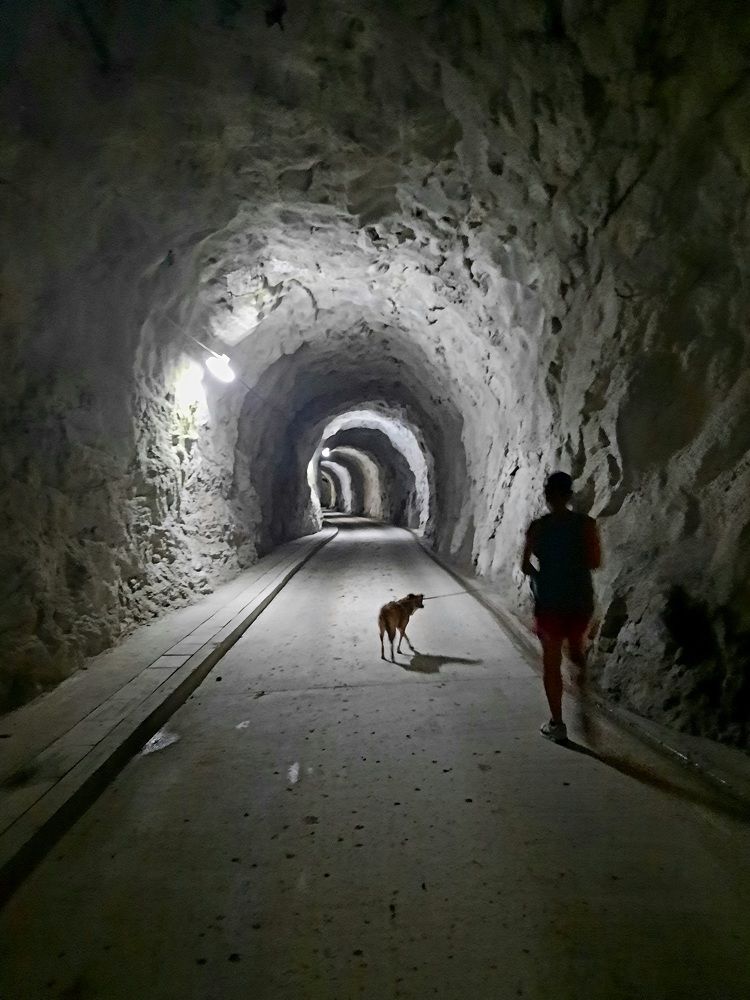 Photograph by Sonia Crotta