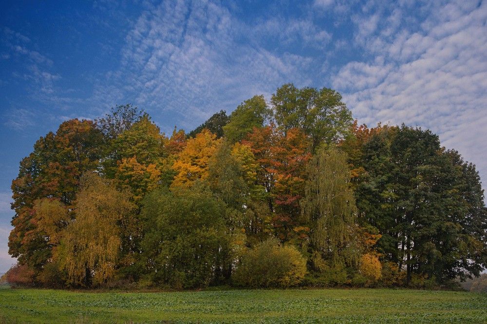 Photograph by Елена Мороз