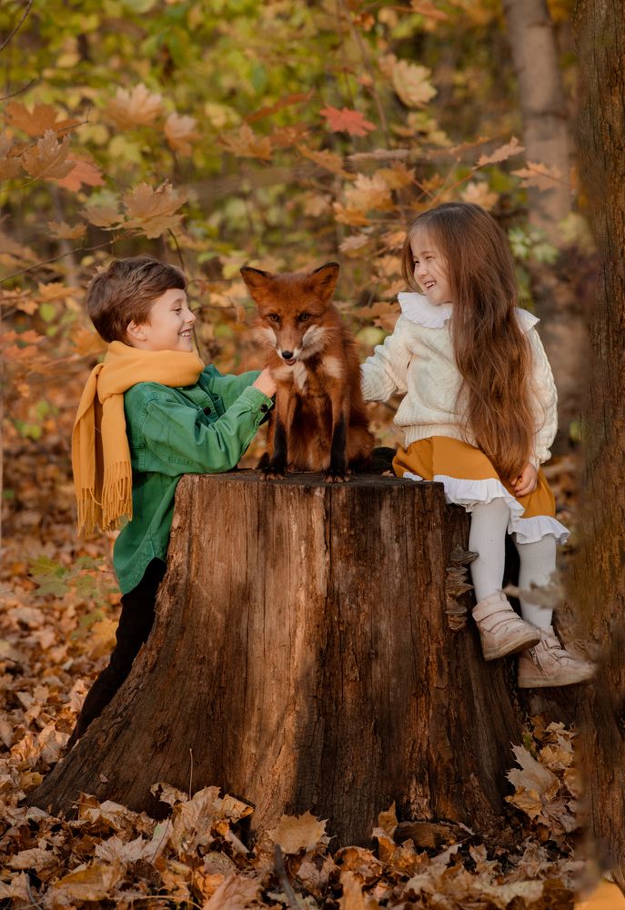 Photograph by Светлана Муртазина