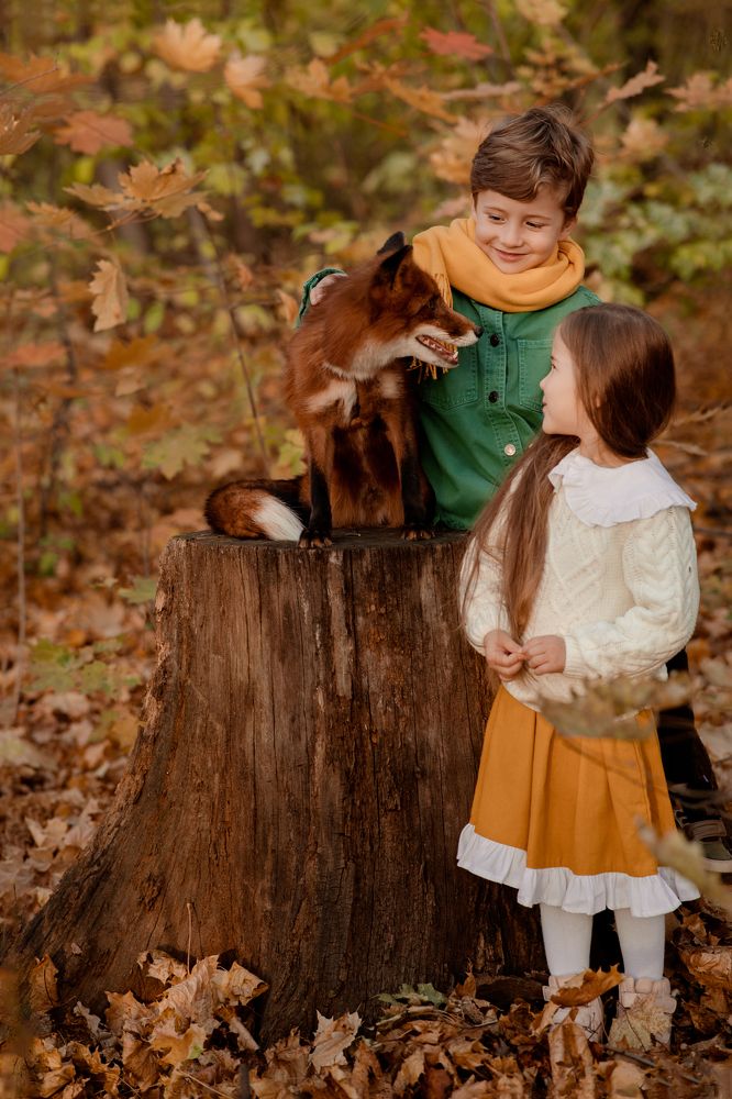 Photograph by Светлана Муртазина