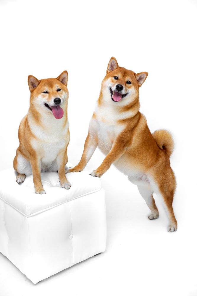 Photograph by Оксана Шаяхметова