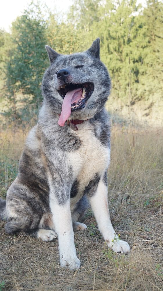 Photograph by Лиза Малыгина