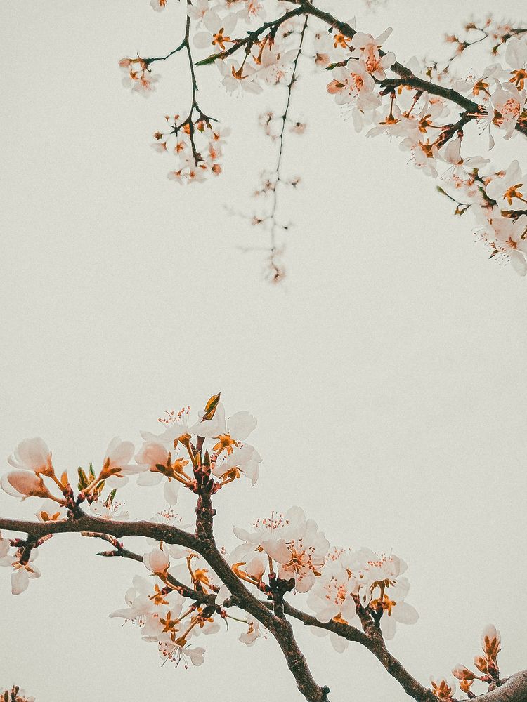 Photograph by Елена (Мори) Кузнецова