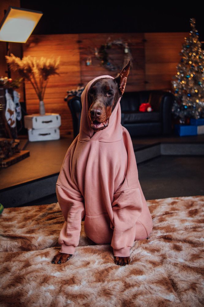 Photograph by Екатерина Степоненкова