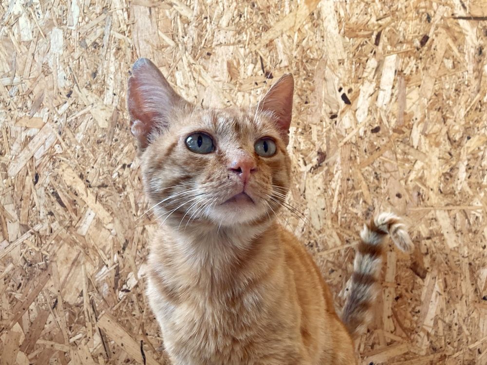 Photograph by Виктория Горельченко