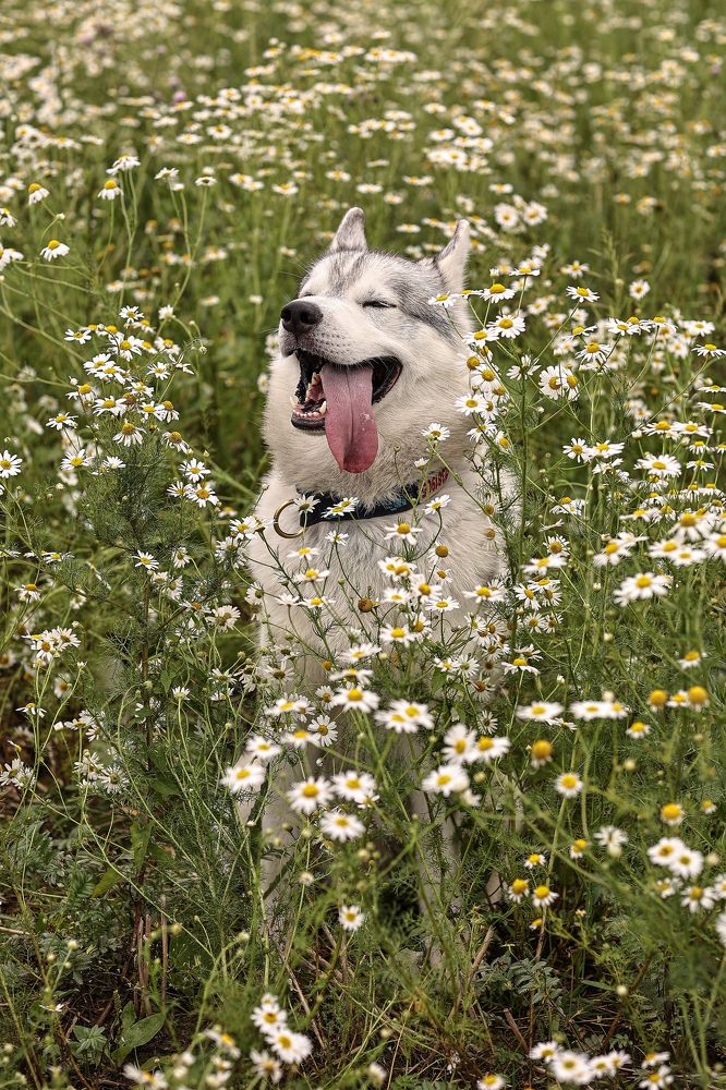 Photograph by Елена Одынец