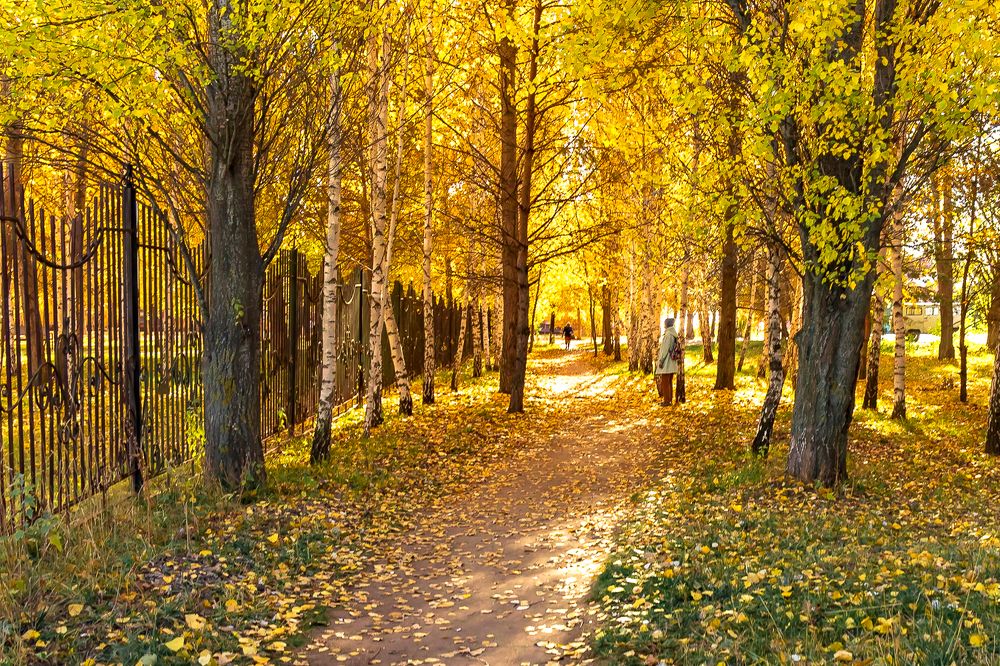 Photograph by Кермен Манджиева