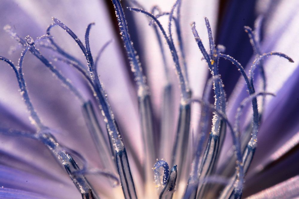 Photograph by Людмила Прибылова