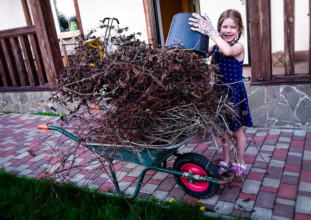 Фотография автора Elena Ku