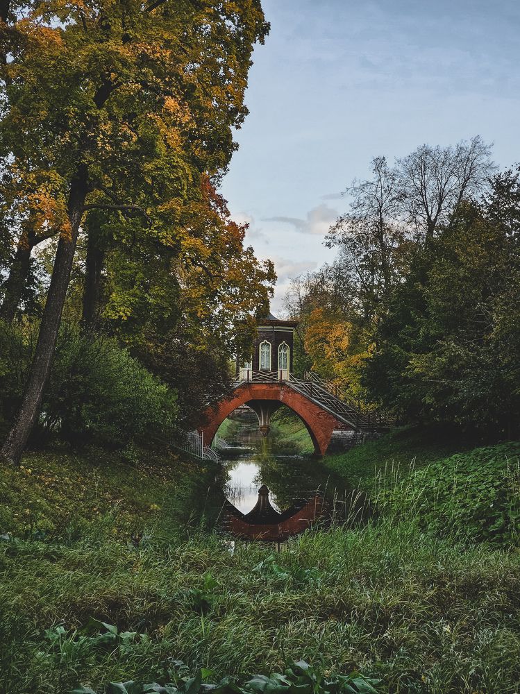 Фотография автора Тюрюханова Дарья
