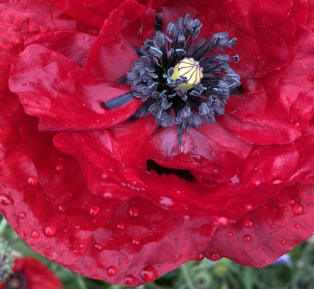 Photograph by Алиса Лукина