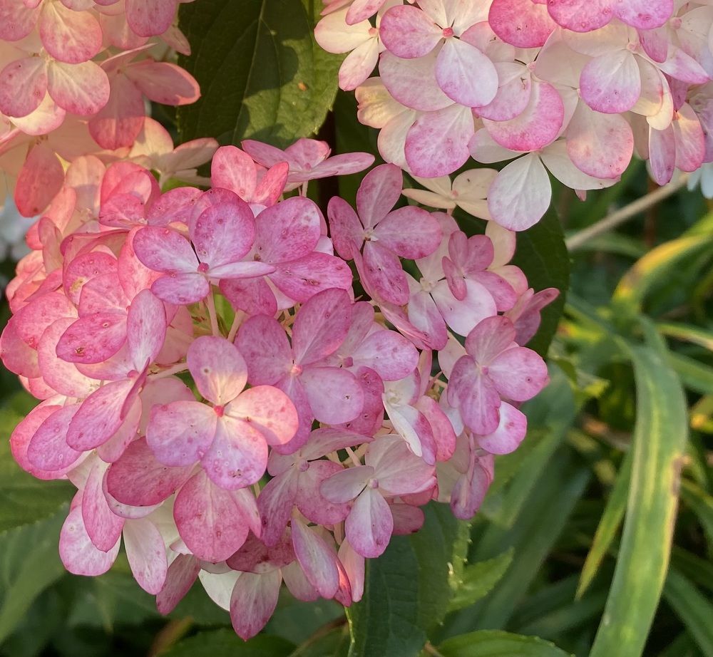 Photograph by Алиса Лукина