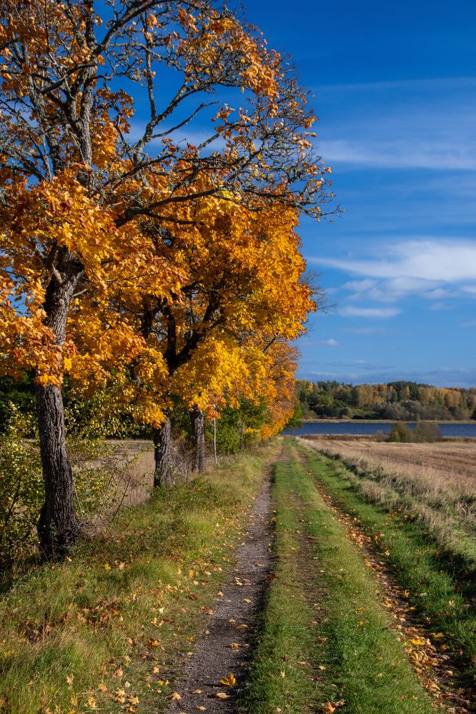 Photograph by Svetlana Jegorova