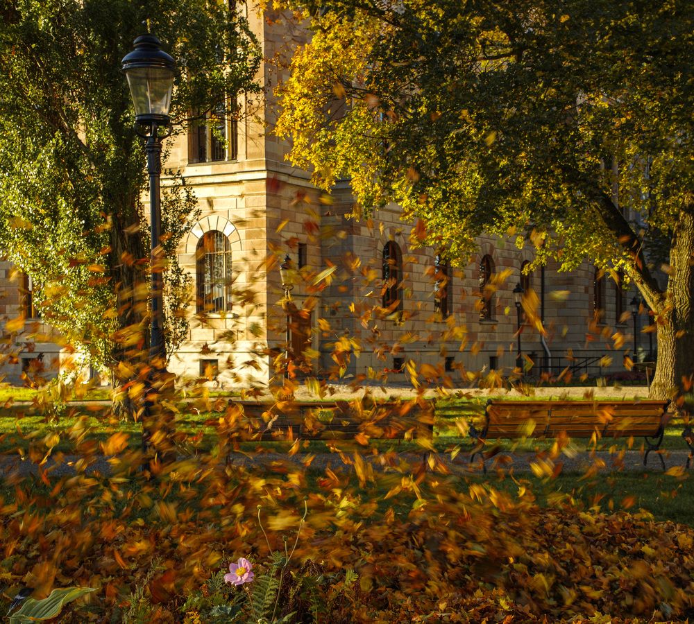 Photograph by Svetlana Jegorova