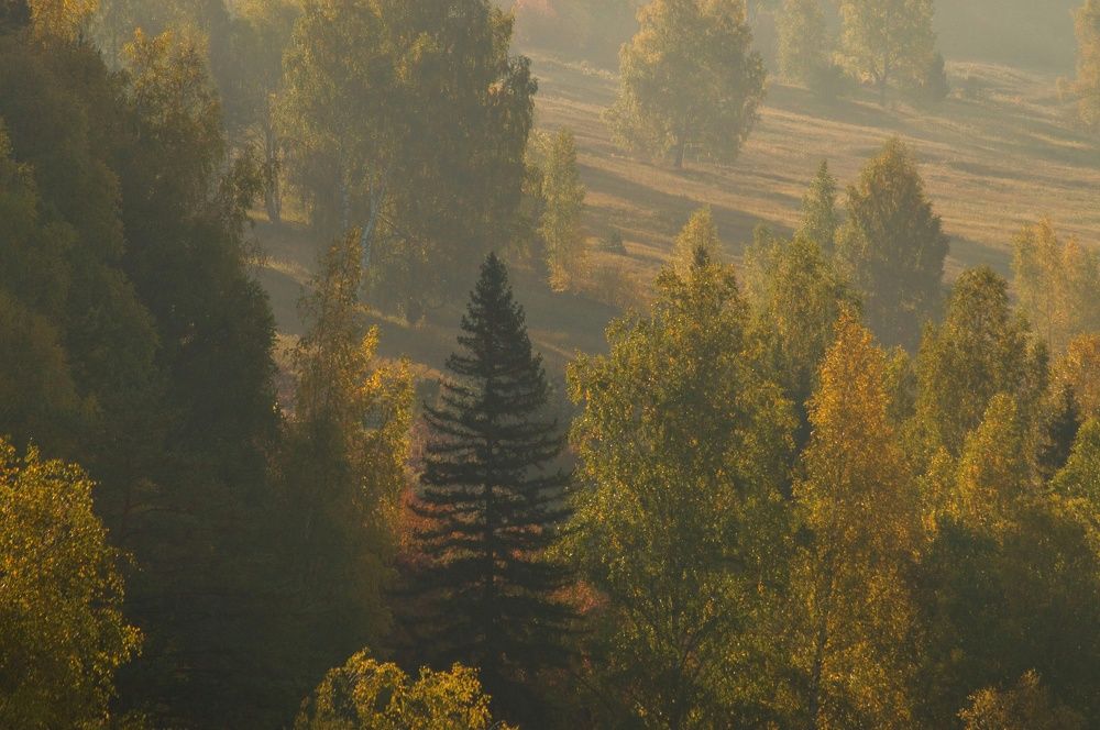 Photograph by Николай Путинцев