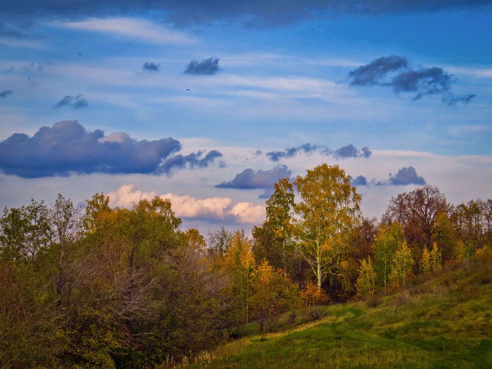 Photograph by Нина Будникова