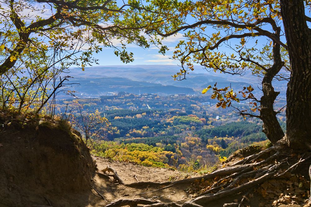 Photograph by Дмитрий Носов