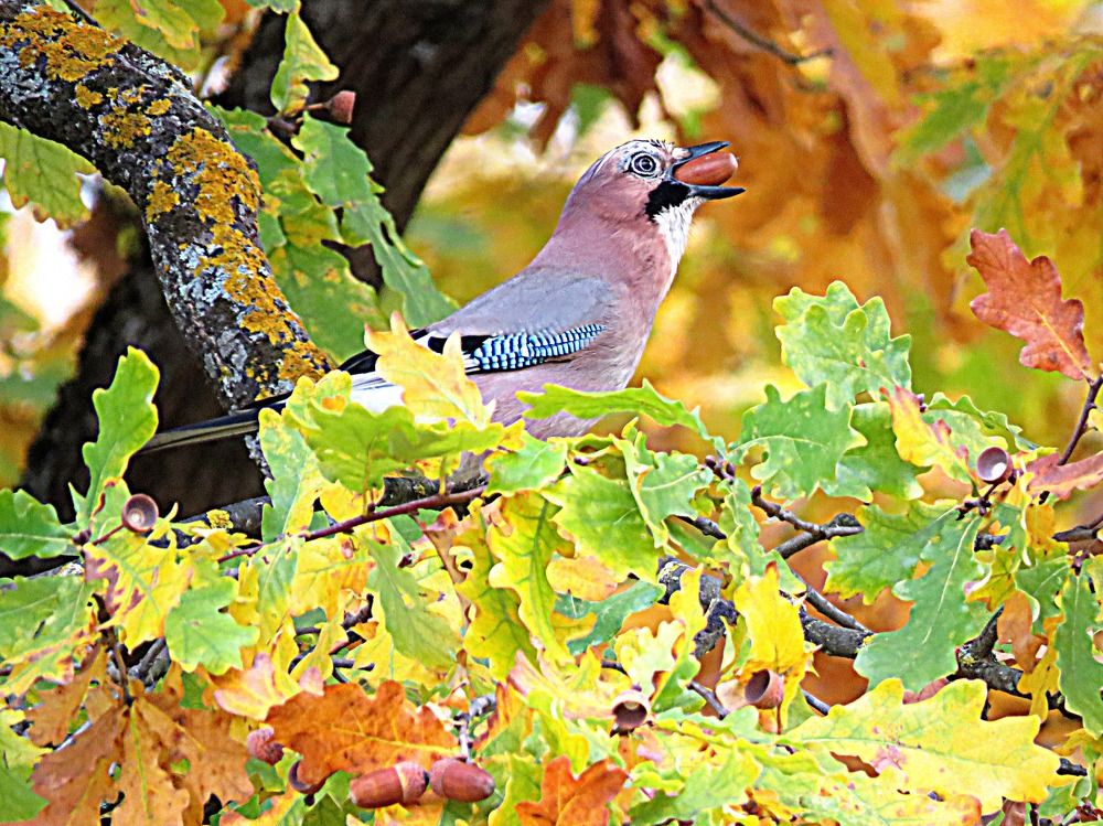 Photograph by Галина Пименова