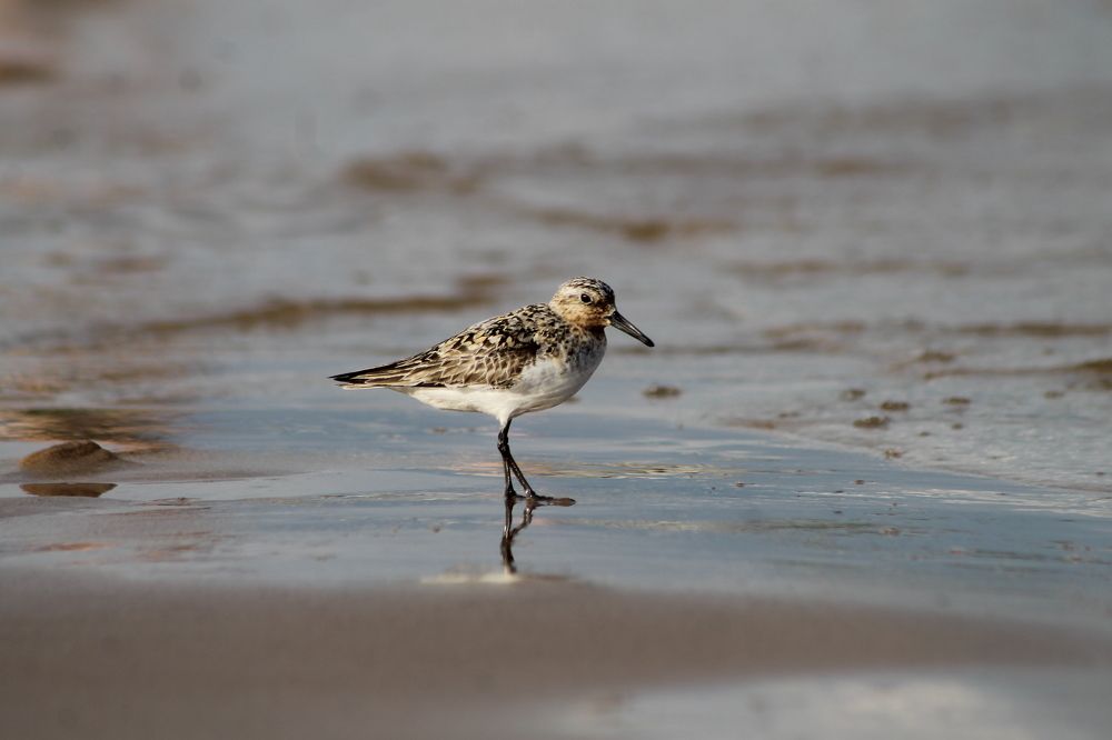 Photograph by Антон Иванов