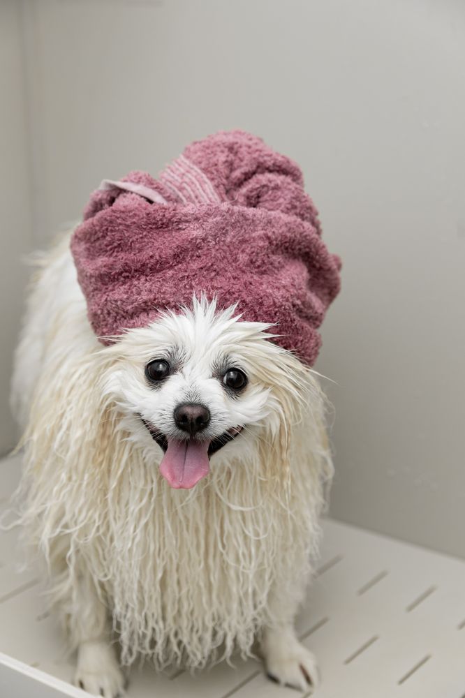 Photograph by Оксана Шаяхметова