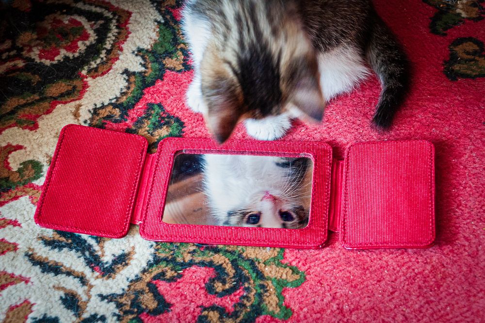 Photograph by Денис Кичев