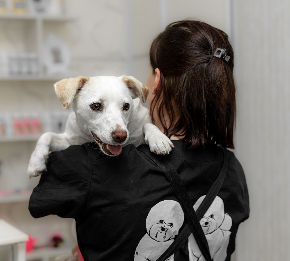 Photograph by Оксана Шаяхметова