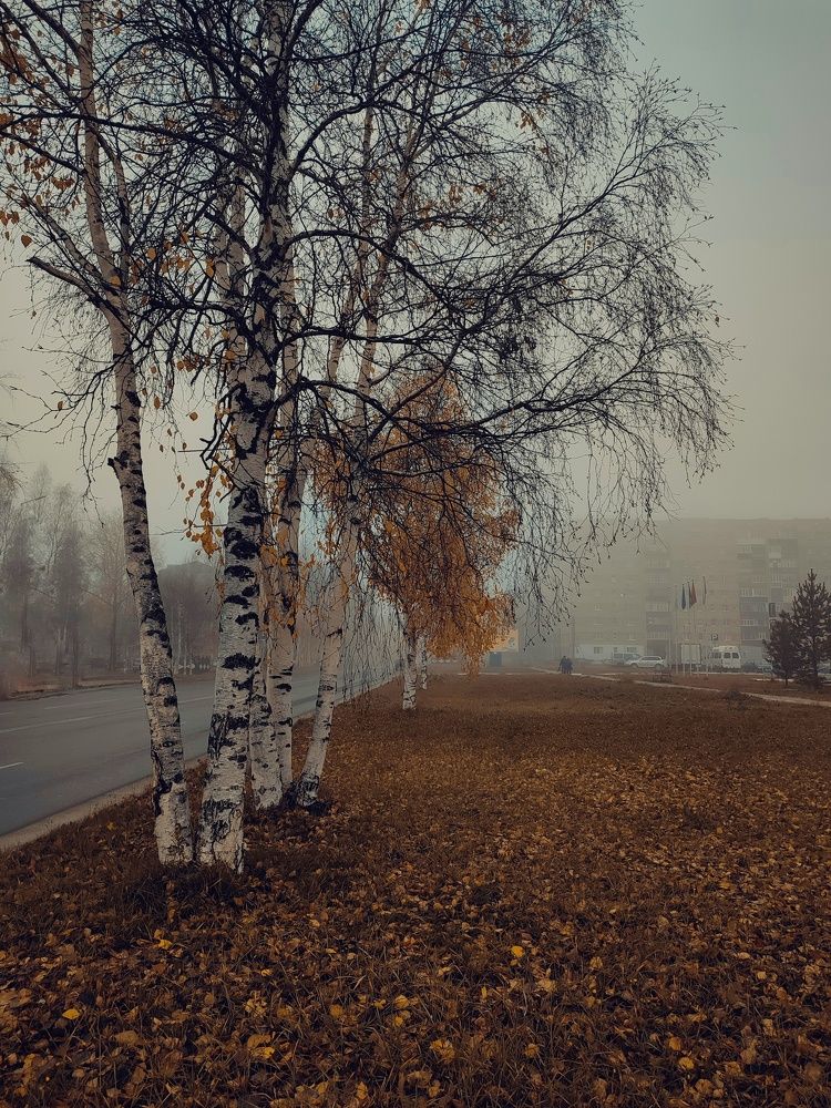 Photograph by Вера
