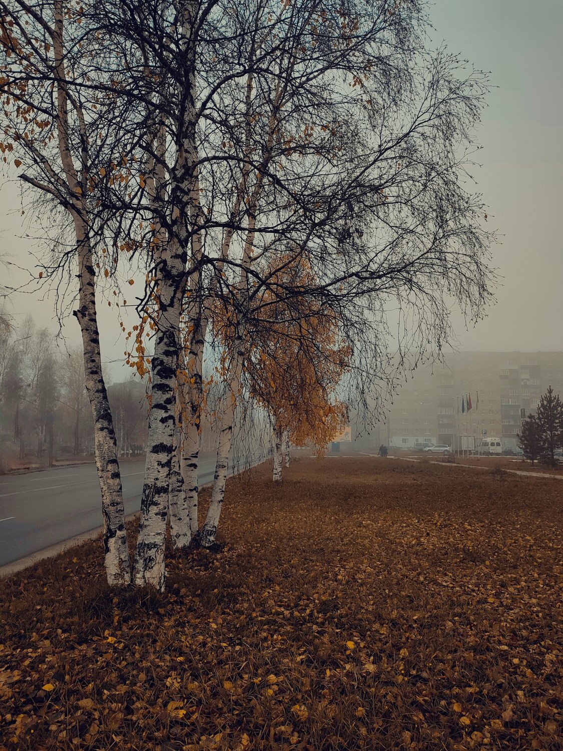 Photo #9694303