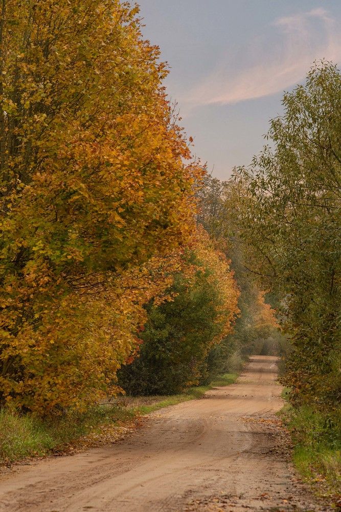 Photograph by Елена Мороз