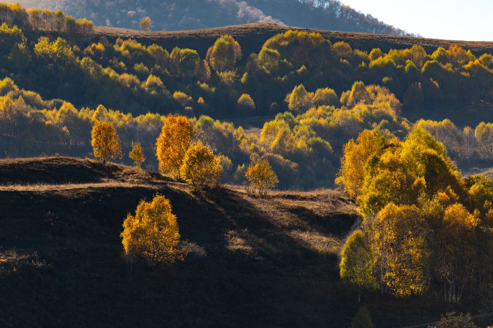 Photograph by Рамзан Давлетмирзаев