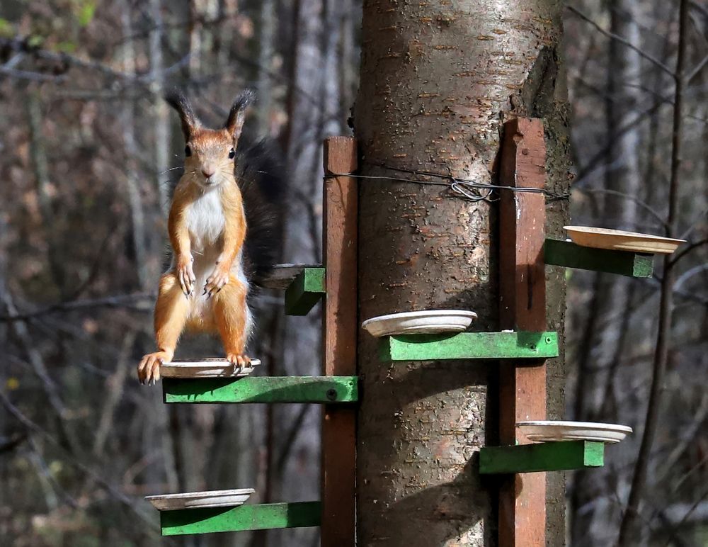 Фотография автора Светлана Бакулина