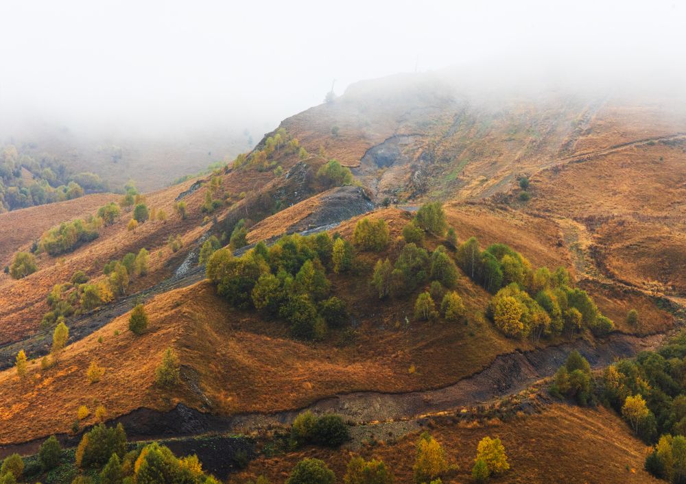 Photograph by Анна Бокова