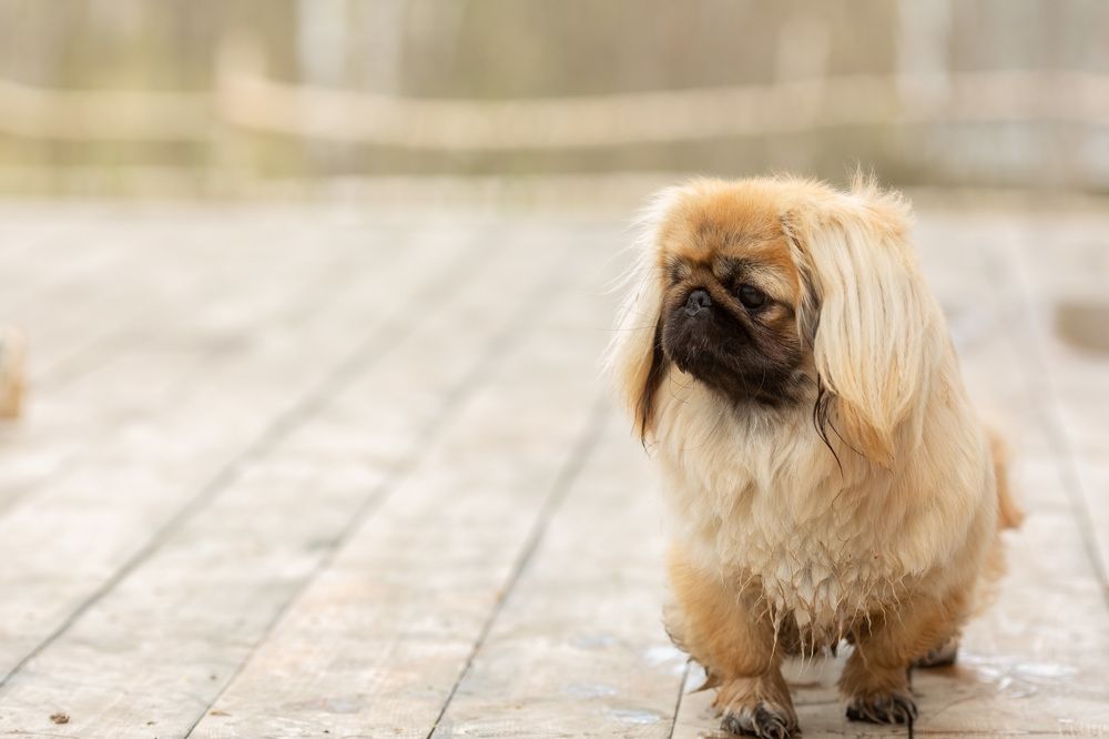 Photograph by Наталья Угрюмова