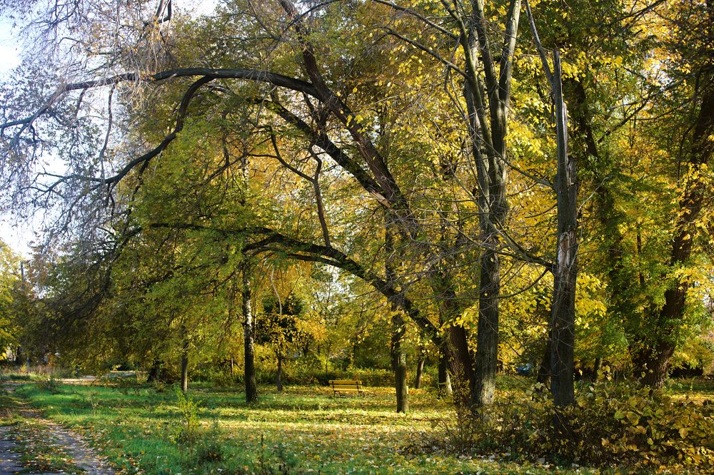 Photograph by Кристина Присакарь