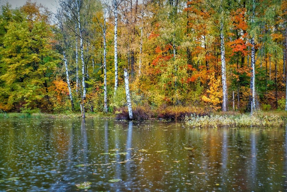 Photograph by Марина Безенкина