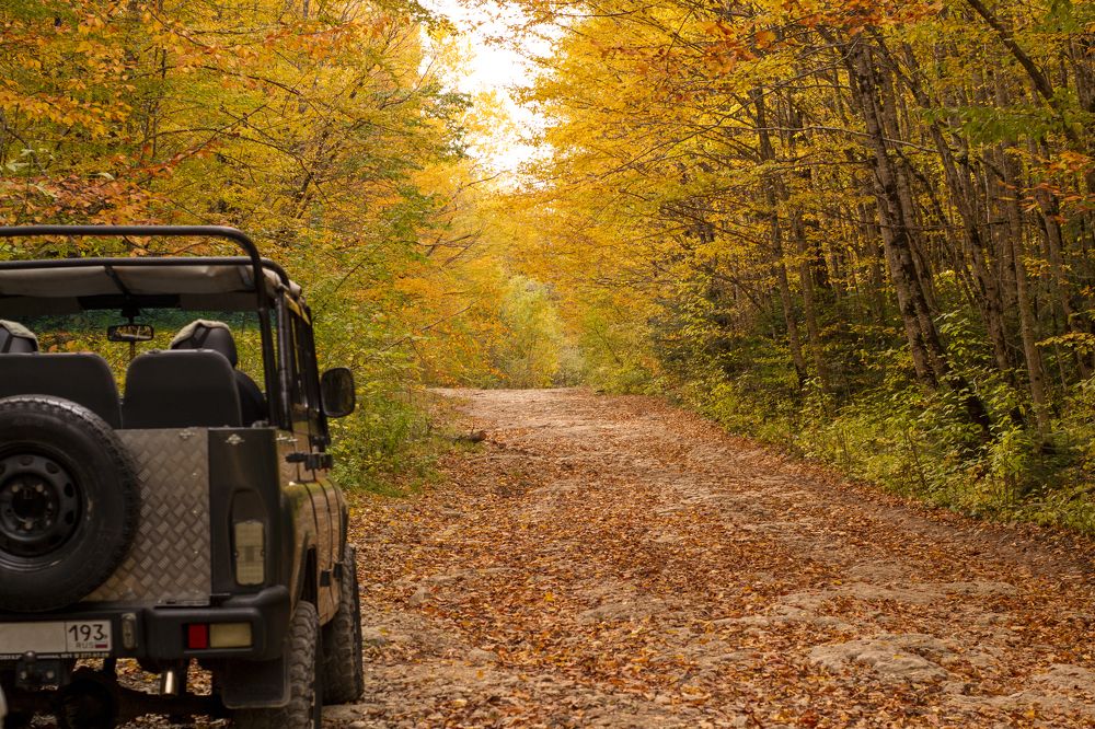 Фотография автора Oleg