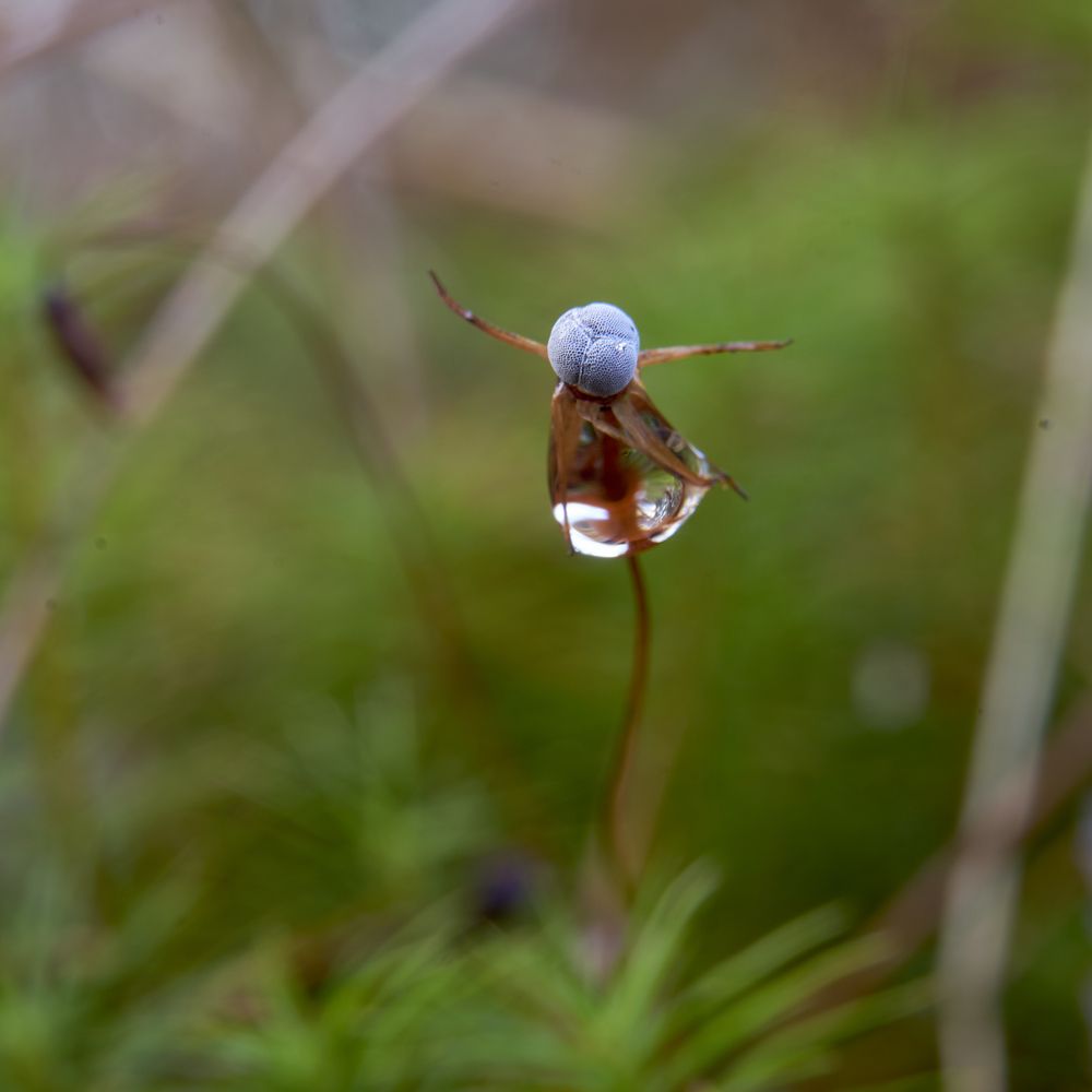 Photograph by Александр Клюев