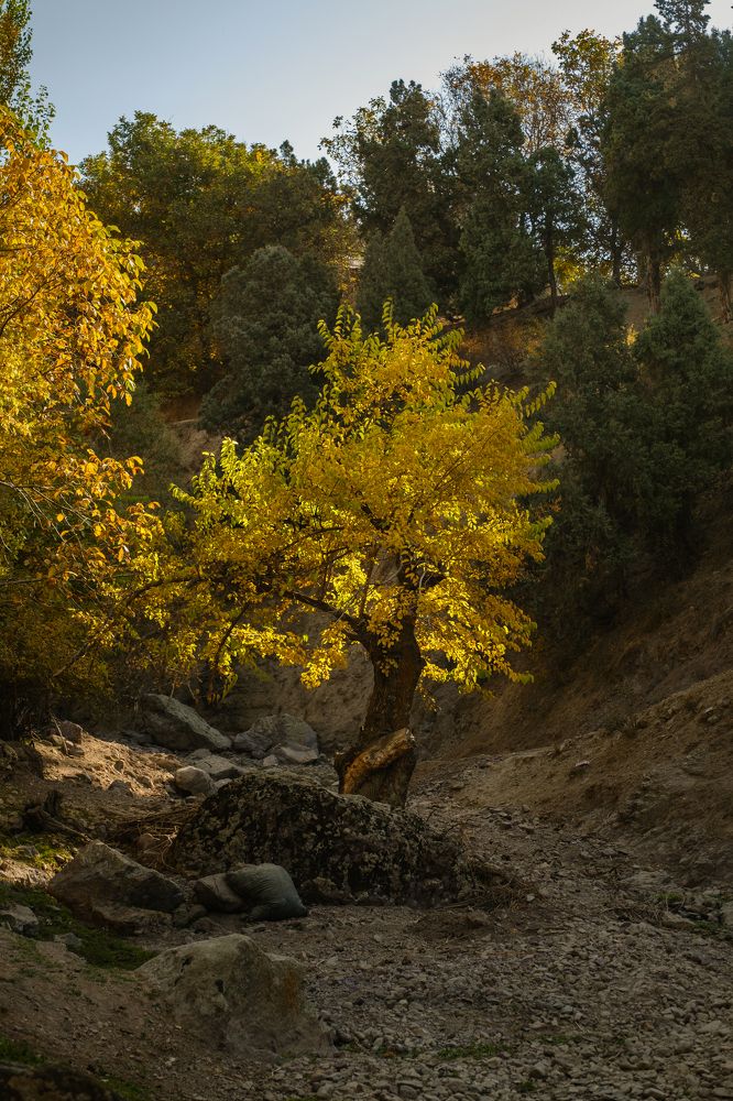 Photograph by Дильмурад Ахмедов