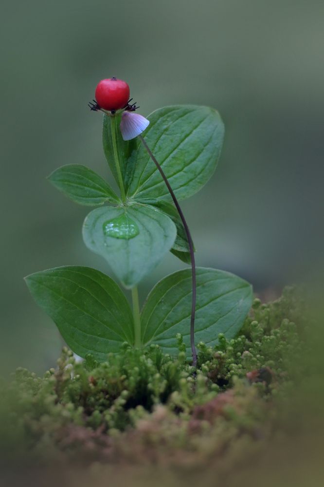 Ты поплачь, а потом утри свои слёзы.