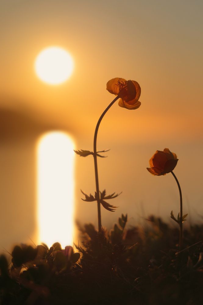 Photograph by Евгения Земскова