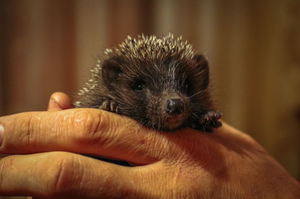 Фотография автора Kateryna