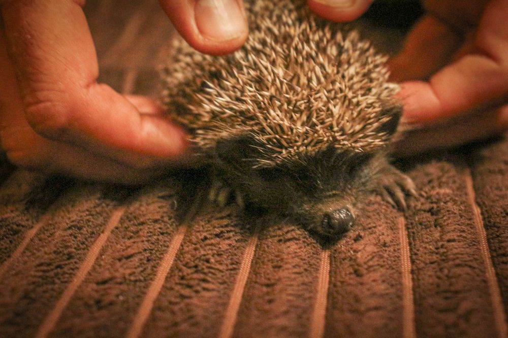 Фотография автора Kateryna