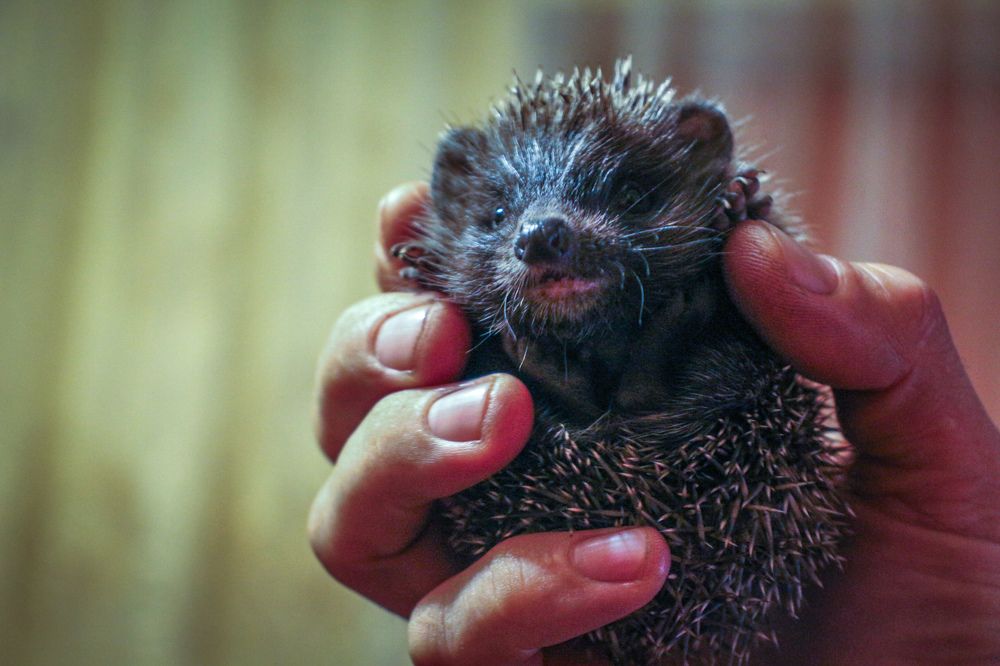 Фотография автора Kateryna