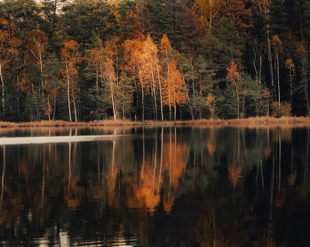 Photograph by Tatsiana Sialiuk